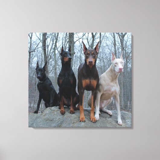 Traditionele en Off Colored Harmony Canvas Afdruk (Voorkant)