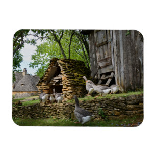 Traditionele foie gras ganzen boerderij rechthoekm magneet