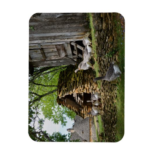 Traditionele foie gras ganzen boerderij rechthoekm magneet (Verticaal)