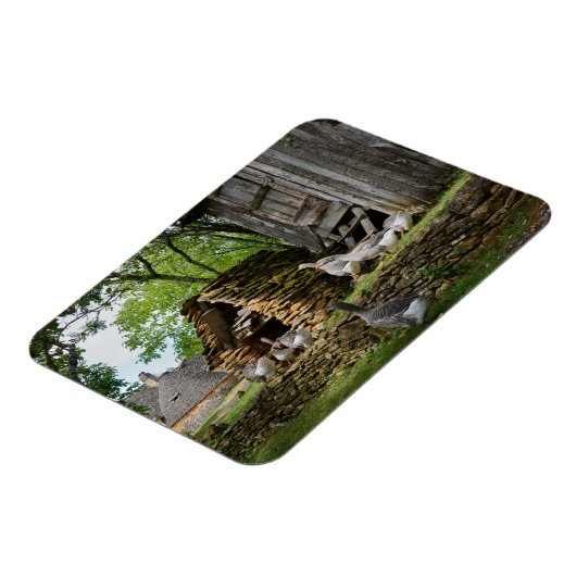 Traditionele foie gras ganzen boerderij rechthoekm magneet (Linkerzijde)