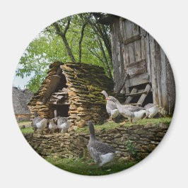 Traditionele foie gras ganzen boerderij ronde magn magneet