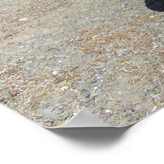 Traditionele Griekse Terracotta Pot op strand Poster (Hoek)