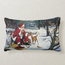 Traditionele kerstkerstman in het park kussen