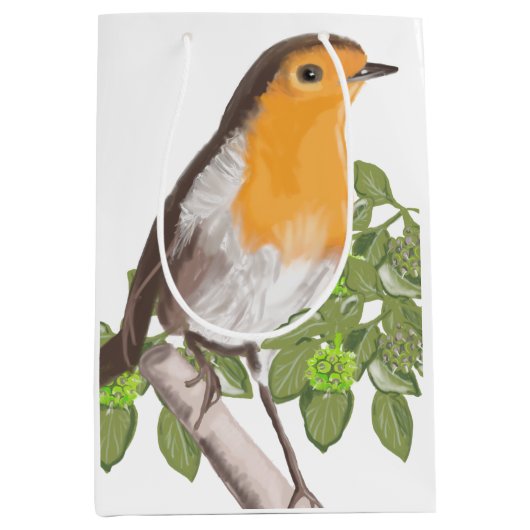 Traditionele kerstRobin en Ivy Medium Cadeauzakje (Voorkant)