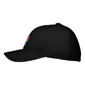 Traditionele LGBTQ+ Pride Flag Geborduurde Pet (Links)