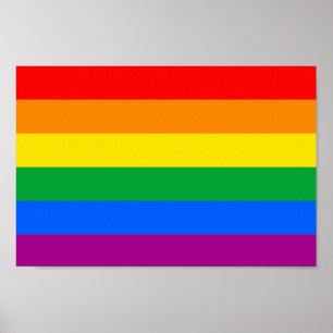Traditionele LGBTQIA+ Pride Flag Poster