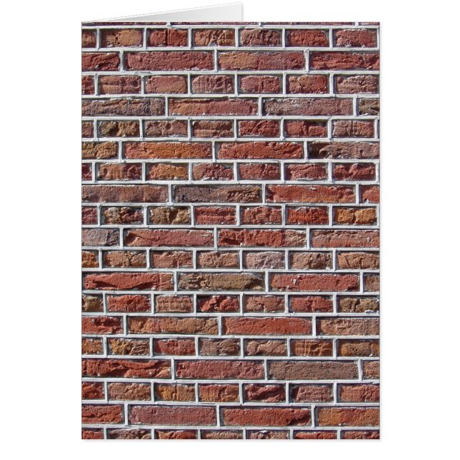 Traditionele Nederlandse brickwork Pointing (Voorkant)