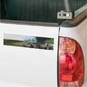 Traditionele Oekraïense bruiloft (Oekraïne) (huwel Bumpersticker (Op Truck)