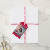 Traditionele Robin Schattig Aquarel Prettig Kerstf Cadeaulabel (Met Touw)