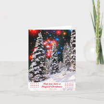 Traditionele sterren Sneeuwbomen