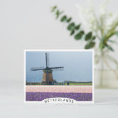 Traditionele windmolen met roze en paarse bloemen briefkaart (Staand voorkant)