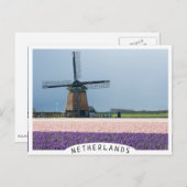 Traditionele windmolen met roze en paarse bloemen briefkaart (Voorkant / Achterkant)