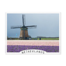 Traditionele windmolen met roze en paarse bloemen