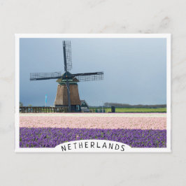 Traditionele windmolen met roze en paarse bloemen briefkaart