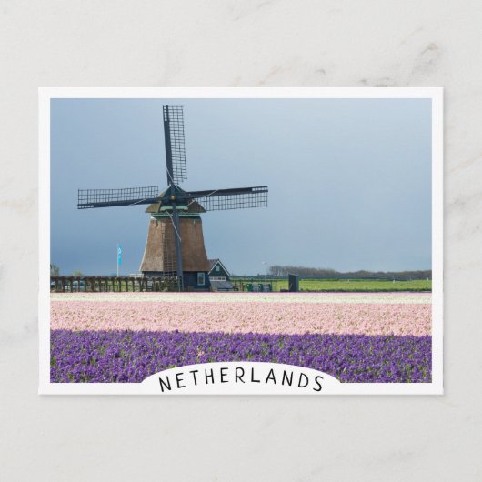 Traditionele windmolen met roze en paarse bloemen briefkaart (Voorkant)