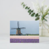 Traditionele windmolen met roze en paarse bloemen briefkaart (Staand voorkant)