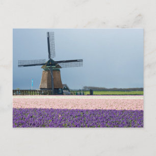 Traditionele windmolen met roze en paarse bloemen briefkaart