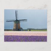 Traditionele windmolen met roze en paarse bloemen briefkaart (Voorkant)