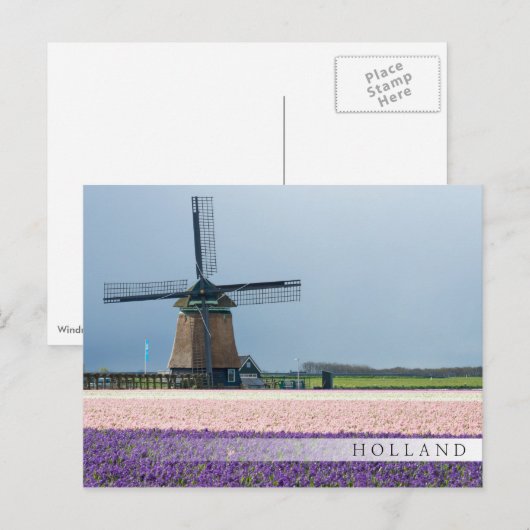 Traditionele windmolen met roze en paarse bloemen briefkaart (Voorkant / Achterkant)