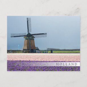 Traditionele windmolen met roze en paarse bloemen briefkaart