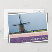 Traditionele windmolen met roze en paarse bloemen briefkaart (Voorkant / Achterkant)
