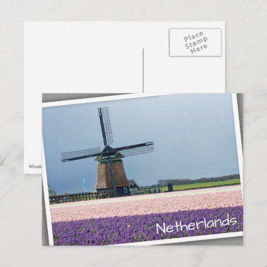 Traditionele windmolen met roze en paarse bloemen briefkaart (Voorkant / Achterkant)