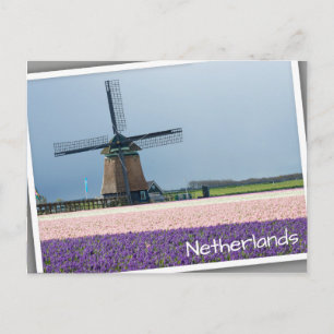 Traditionele windmolen met roze en paarse bloemen briefkaart