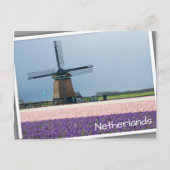 Traditionele windmolen met roze en paarse bloemen briefkaart (Voorkant)