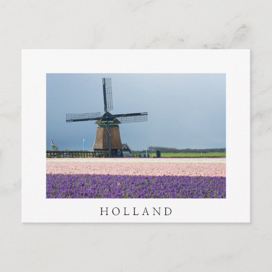 Traditionele windmolen met roze en paarse bloemen briefkaart (Voorkant)