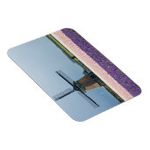 Traditionele windmolen met roze en paarse bloemen magneet (Rechterzijde)