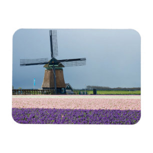 Traditionele windmolen met roze en paarse bloemen magneet