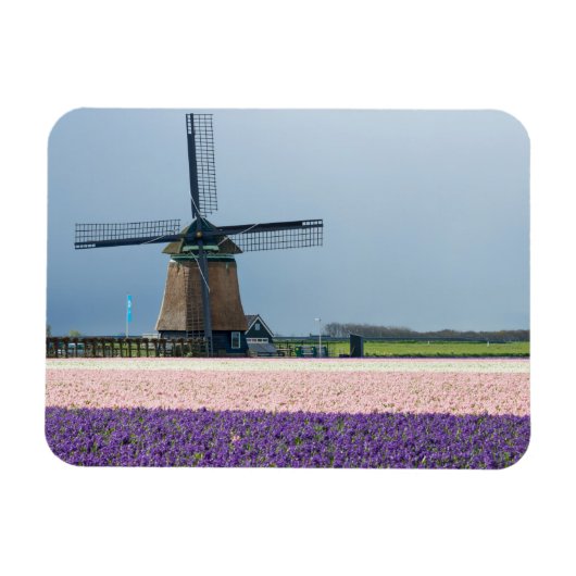 Traditionele windmolen met roze en paarse bloemen magneet (Horizontaal)