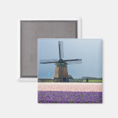 Traditionele windmolen met roze en paarse bloemen magneet (Voorkant / Achterkant)