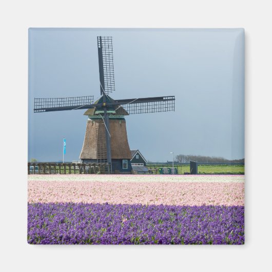 Traditionele windmolen met roze en paarse bloemen magneet (Voorkant)