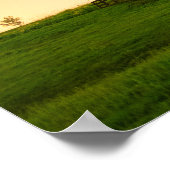 Traditionele windmolen onder het Noorderlicht Poster (Hoek)