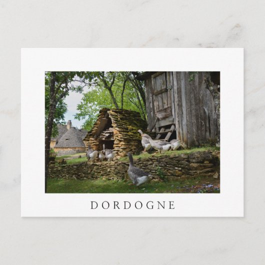 Traditionele witte boerderij van hanen met foie gr briefkaart (Voorkant)