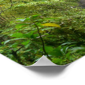 Trafalgar Falls, Dominica, West Indies Caribbean Poster (Hoek)