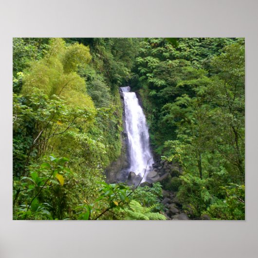 Trafalgar Falls, Dominica, West Indies Caribbean Poster (Voorkant)