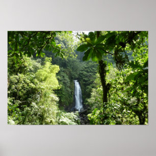 Trafalgar Falls Tropisch Regenwoud Fotografie Poster
