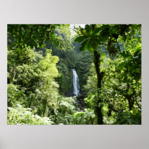 Trafalgar Falls Tropisch Regenwoud Fotografie Poster