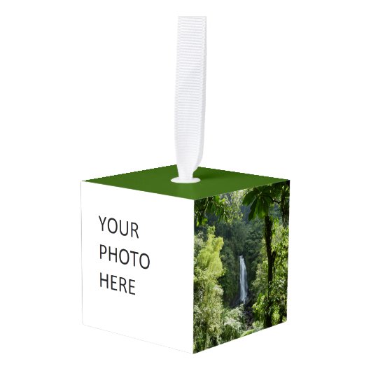 Trafalgar Herfsten Tropische regenwoufotografie Decoratie (Voorkant hoekig)