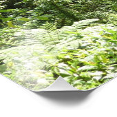 Trafalgar Herfsten Tropische regenwoufotografie Foto Afdruk (Hoek)