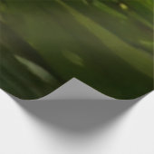 Trafalgar Herfsten Tropische regenwoufotografie Houten Poster (Hoek)