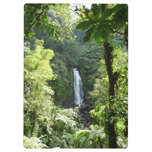 Trafalgar Herfsten Tropische regenwoufotografie Klembord (Achterkant)