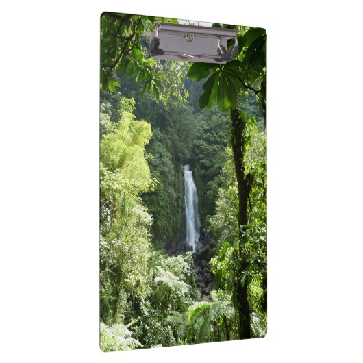 Trafalgar Herfsten Tropische regenwoufotografie Klembord (Rechts)