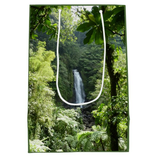 Trafalgar Herfsten Tropische regenwoufotografie Medium Cadeauzakje (Achterkant)