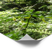 Trafalgar Herfsten Tropische regenwoufotografie Poster (Hoek)