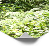 Trafalgar Herfsten Tropische regenwoufotografie Poster (Hoek)