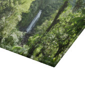 Trafalgar Herfsten Tropische regenwoufotografie Snijplank (Hoek)