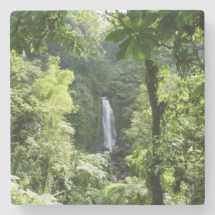 Trafalgar Herfsten Tropische regenwoufotografie Stenen Onderzetter